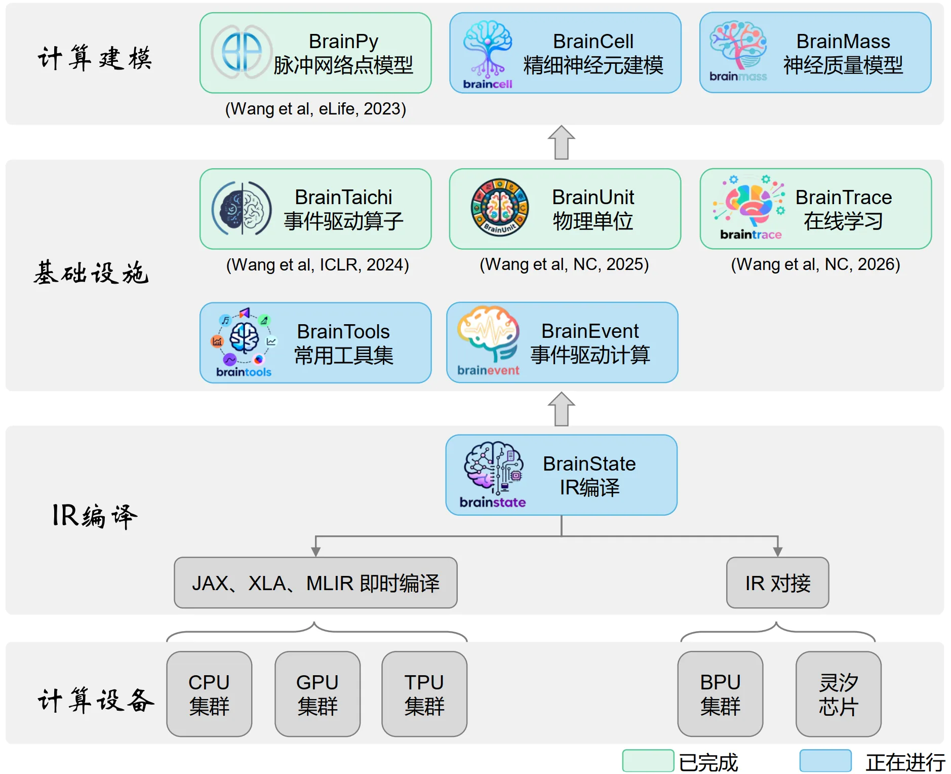 BrainX：一套面向全脑动力学仿真的软件生态