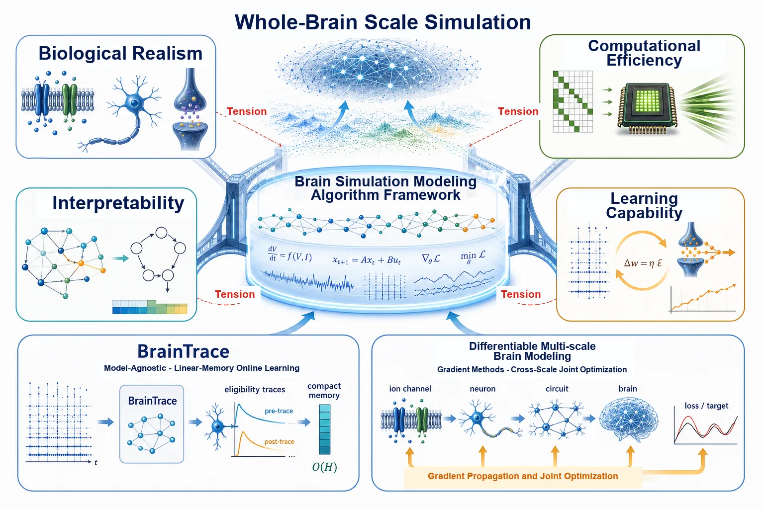 Brain Modeling Algorithms