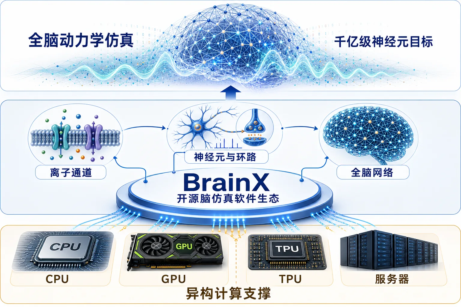 脑仿真基础软件
